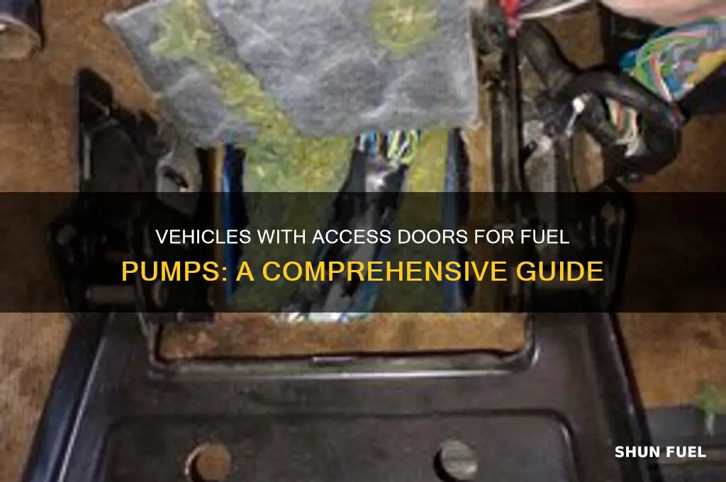 what behicles have access door for fuel pump