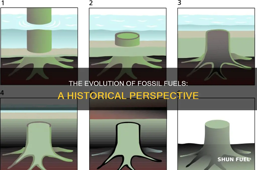 what best describes how fossil fuels form