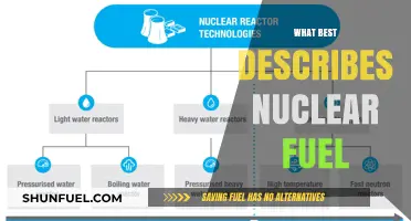 Understanding Nuclear Fuel: Composition, Types, and Energy Potential Explained