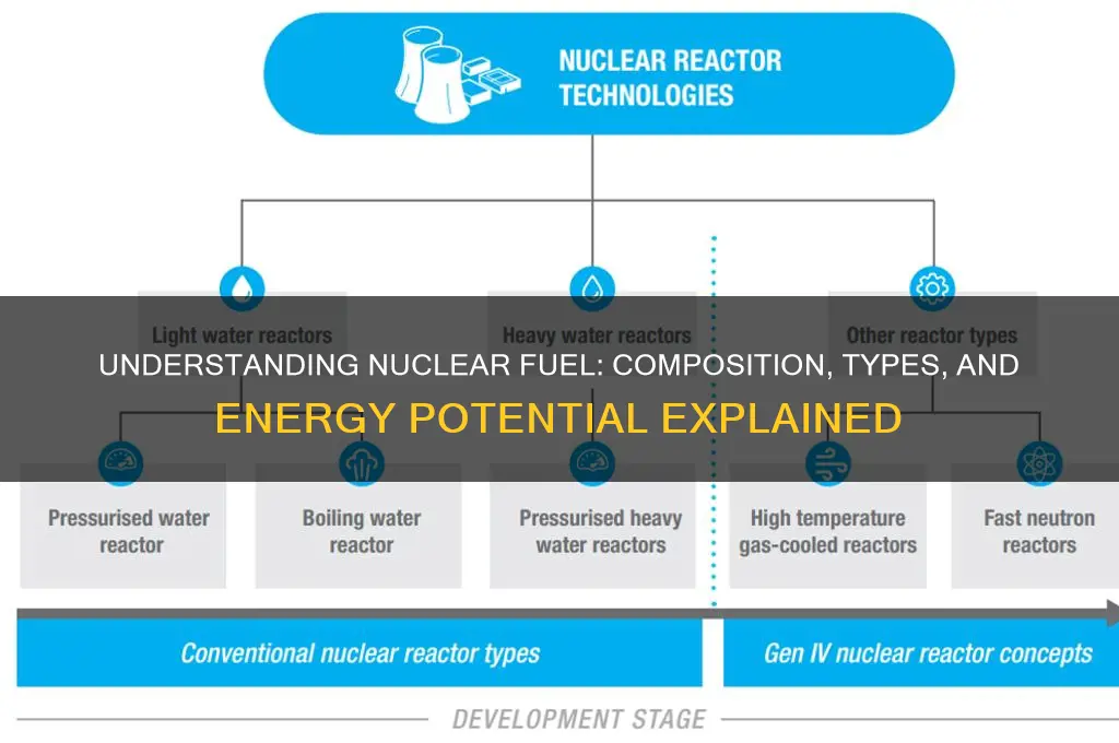 what best describes nuclear fuel
