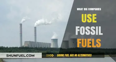 Which Major Corporations Still Rely on Fossil Fuels?