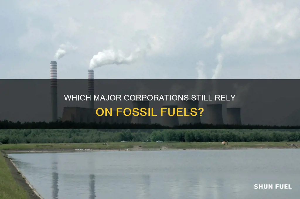 what big companies use fossil fuels