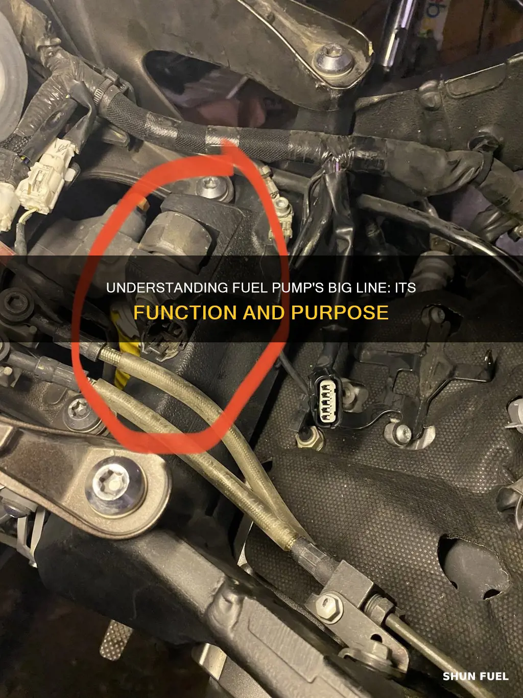 what big line on fuel pump for