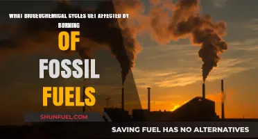 Fossil Fuel Burning: Impact on Biogeochemical Cycles