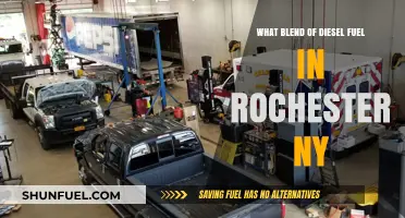 Rochester's Diesel Blend: Understanding the Mix