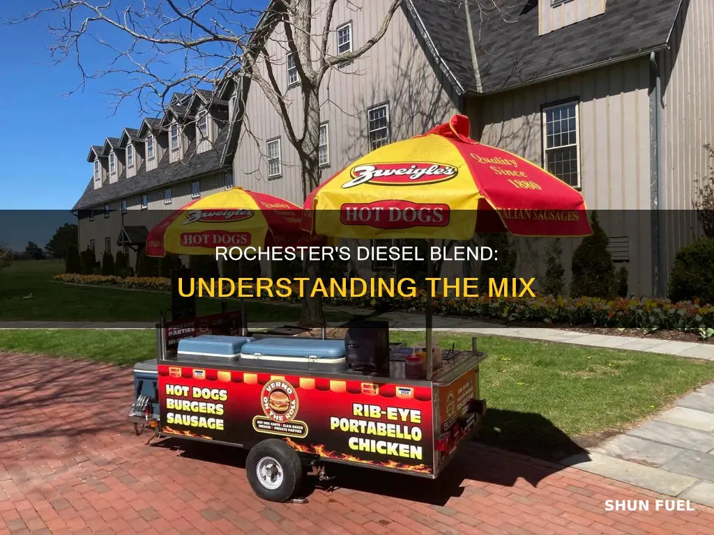 what blend of diesel fuel in rochester ny