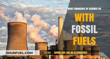 Fossil Fuels: Science Branches and Their Roles