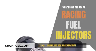 Pro M Racing Fuel Injectors: Which Brands Are Best?