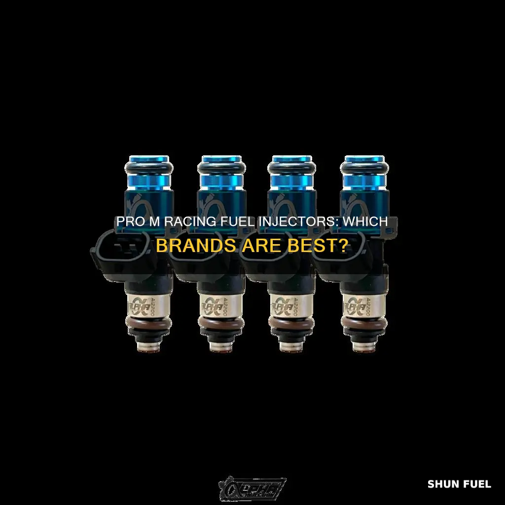 what brand are pro m racing fuel injectors