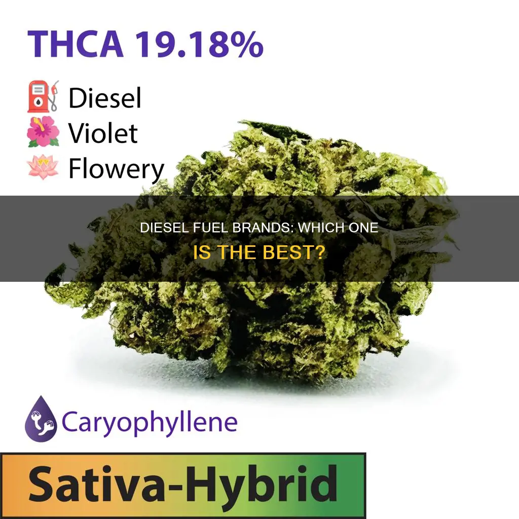what brand of diesel fuel is best