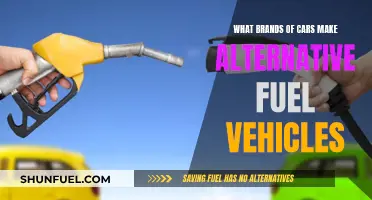 Alternative Fuel Vehicles: Brands Leading the Way