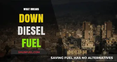 How Bacteria Breaks Down Diesel Fuel