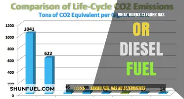 Gas vs. Diesel: Which Fuel Burns Cleaner?