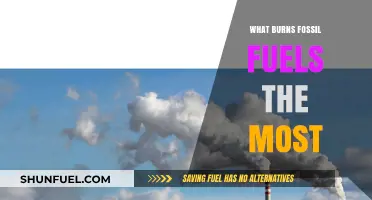 Fossil Fuels: What's Burning the Most?