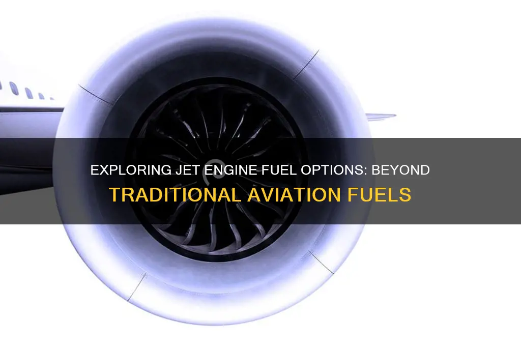 what can a jet engine use as fuel