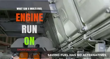 Multi-Fuel Engine Versatility: Exploring Diverse Fuel Options for Optimal Performance