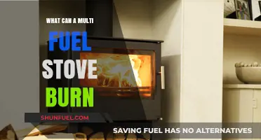 Multi-Fuel Stove Versatility: Exploring Diverse Fuel Options for Efficient Heating