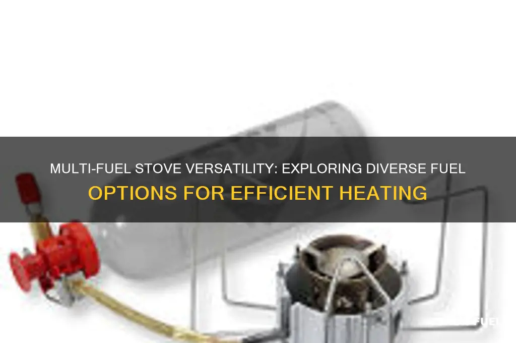 what can a multi fuel stove burn