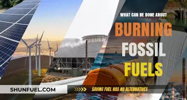 How Can We Stop Burning Fossil Fuels?