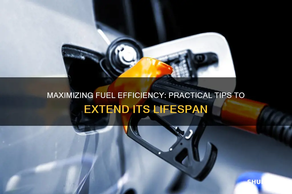 what can be done to extend the life of fuel