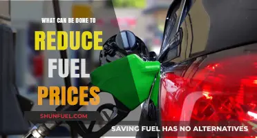 Strategies to Lower Fuel Prices: Effective Solutions for Consumers and Governments