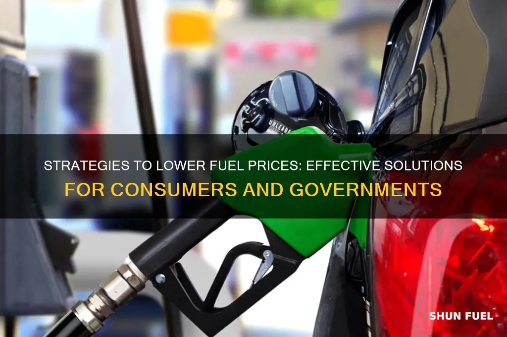 what can be done to reduce fuel prices