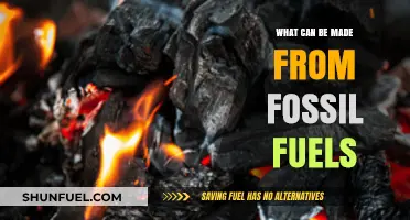 From Energy to Plastics: Exploring Fossil Fuels' Diverse Applications