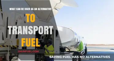 Exploring Sustainable Alternatives to Traditional Transport Fuel Options