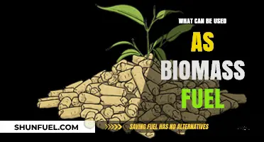 Exploring Sustainable Biomass Fuel Sources for Clean Energy Solutions