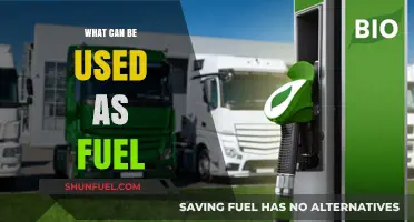 Exploring Alternative Fuel Sources: What Can Power Our Future?