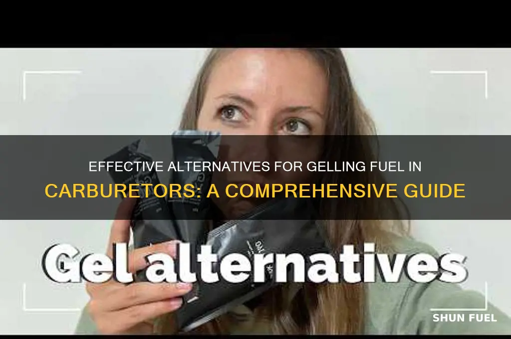 what can be used for gelled fuel in carburetor