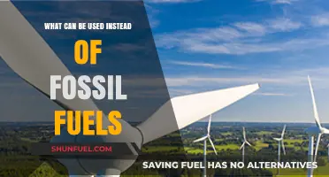 Sustainable Alternatives to Fossil Fuels: Clean Energy Solutions for a Greener Future