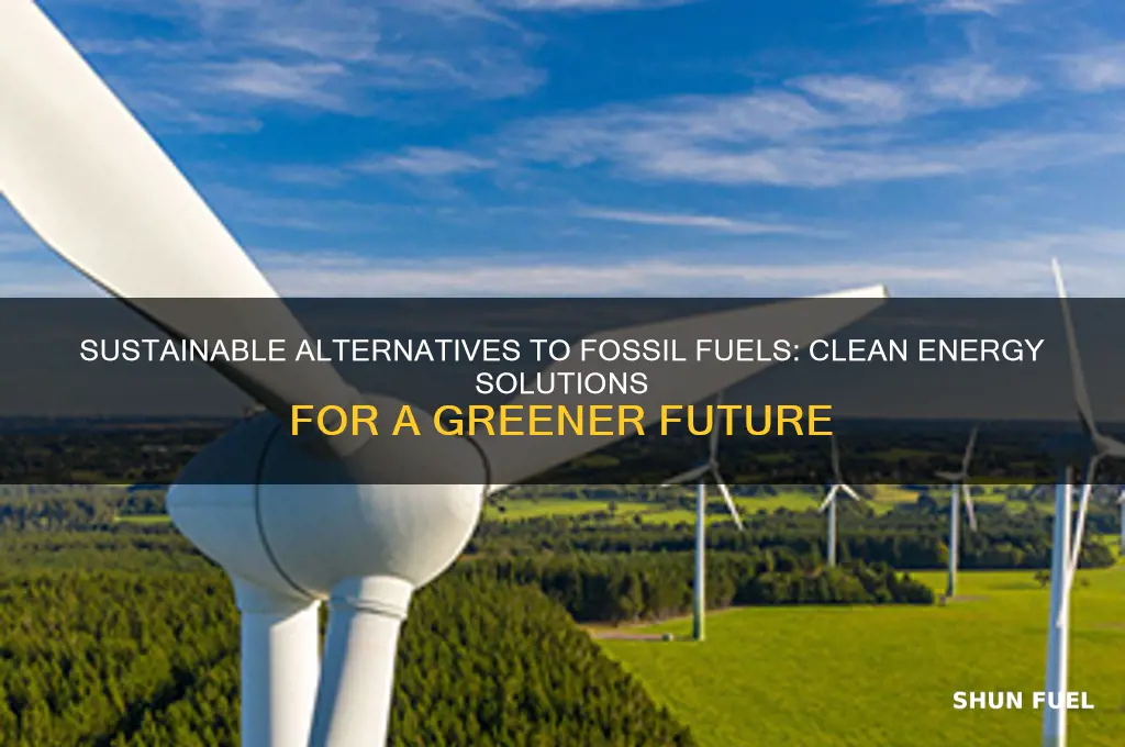 what can be used instead of fossil fuels