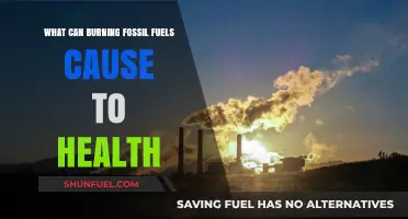 Burning Fossil Fuels: Uncovering the Devastating Health Consequences