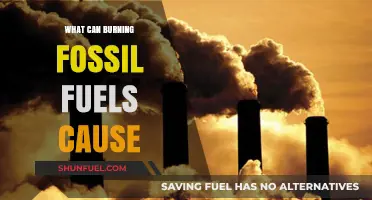 Fossil Fuels: Burning Questions on Climate Change
