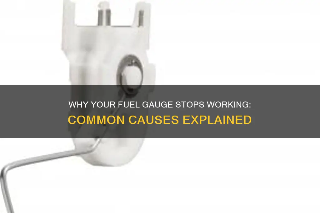 what can cause a fuel gauge to stop working