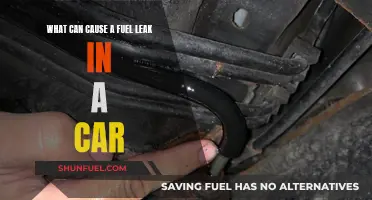 Fuel Leaks: Common Car Issues and Their Causes