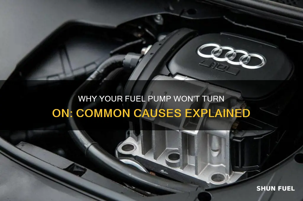 what can cause a fuel pump not to turn on