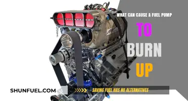 Fuel Pump Failure: Common Causes of Overheating and Burnout