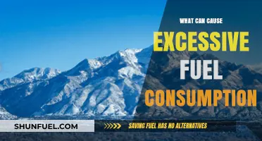 Uncovering Common Causes of Excessive Fuel Consumption in Vehicles