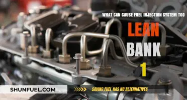 Causes of a Too Lean Condition in Fuel Injection System Bank 1