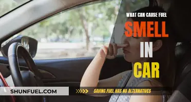 Fuel Smell in Your Car: Potential Causes and Solutions