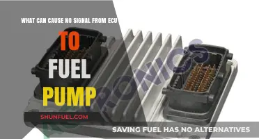 ECU to Fuel Pump: Diagnosing No Signal Causes and Fixes