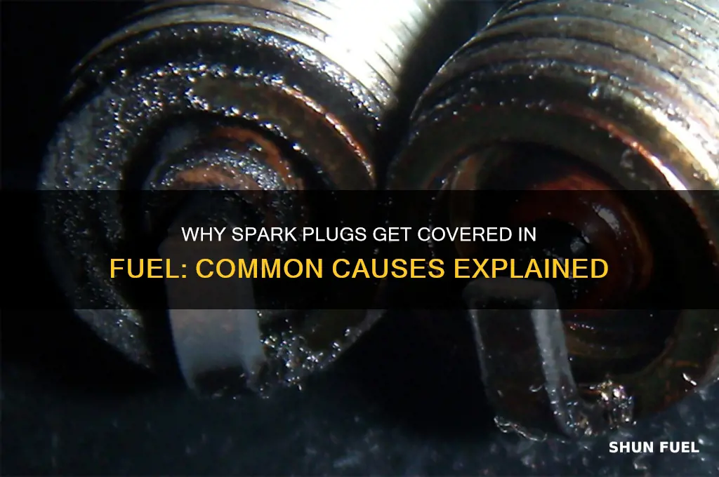 what can cause spark plugs to have fuel on them
