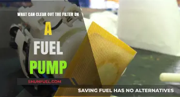 Cleaning Fuel Pumps: Clearing the Filter Clog