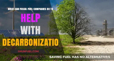 Fossil Fuel Companies' Role in Accelerating Global Decarbonization Efforts