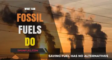 Fossil Fuels: Powering Our World, Shaping Our Future
