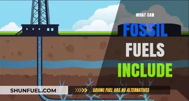 Fossil Fuels: What's Included and Why It Matters