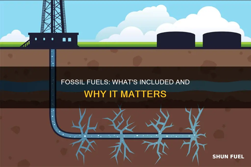 what can fossil fuels include