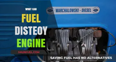 Exploring Diverse Fuels for Diesel Engines: Powering Efficiency and Performance